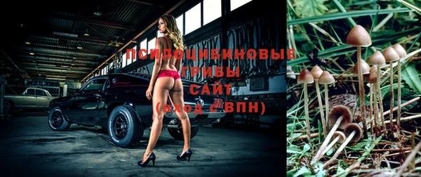 MESCALINE Магас