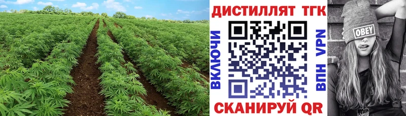 Купить  Краснодар  Дистиллят ТГК концентрат 